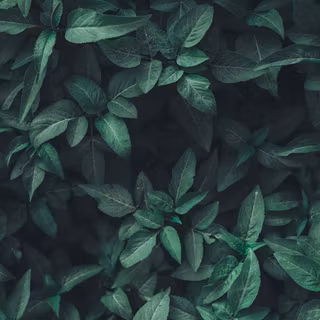 Black teal wallpaper