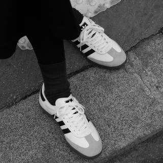 Adidas Samba wallpaper