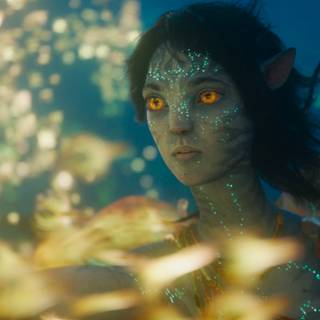 Avatar Kiri wallpaper