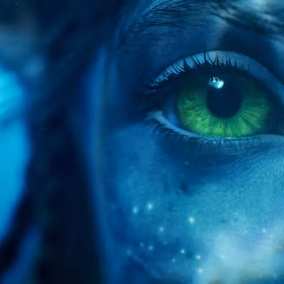 Avatar Kiri wallpaper