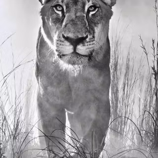 iPhone Xs Max 4k black wallpaper