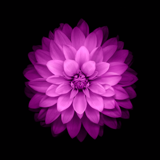 iPhone 15 Pro HD wallpaper