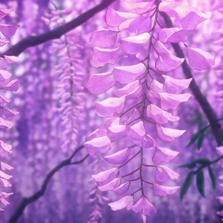 Purple flowers anime wallpaper