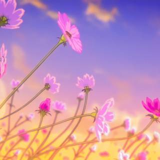 Purple flowers anime wallpaper