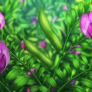 Purple flowers anime wallpaper