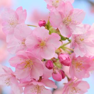 2880x1800 anime wallpaper