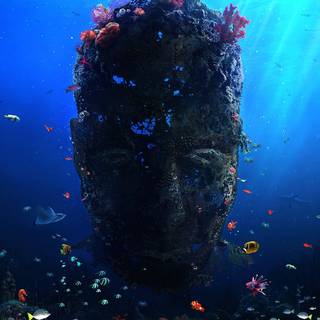 Coral reef 1920x1080 wallpaper