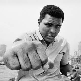 Sport legends wallpaper