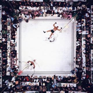 Sport legends wallpaper