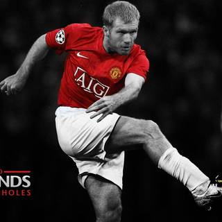 Sport legends wallpaper