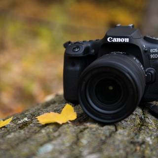 Canon EOS 90D wallpaper