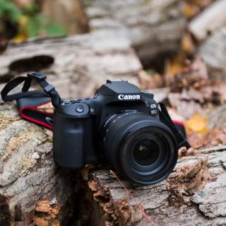 Canon EOS 90D wallpaper