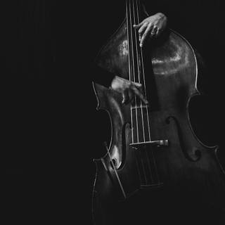 Contrabass wallpaper