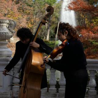 Contrabass wallpaper