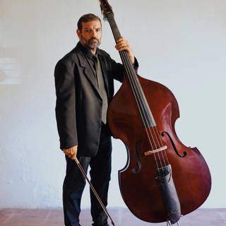 Contrabass wallpaper