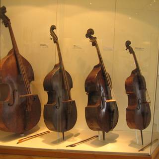 Contrabass wallpaper