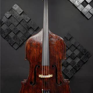 Contrabass wallpaper