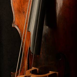 Contrabass wallpaper
