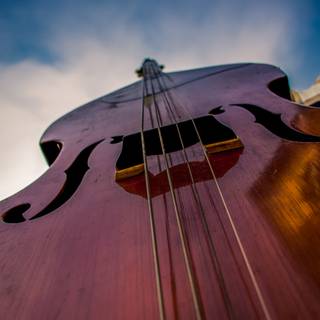 Contrabass wallpaper