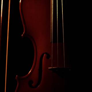 Contrabass wallpaper