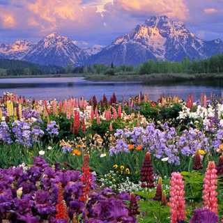 Spring 1440x900 wallpaper