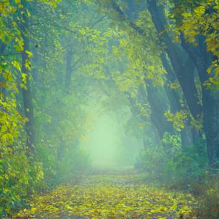 Yellow spring 3440x1440 wallpaper