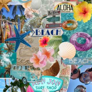 Summer 2024 wallpaper