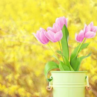 Yellow spring 3440x1440 wallpaper