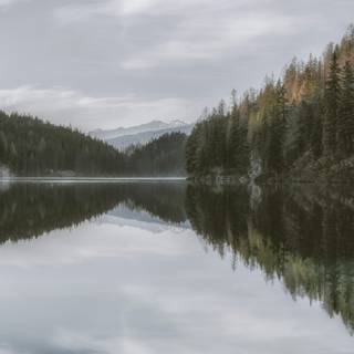 Scene iPhone 4k wallpaper