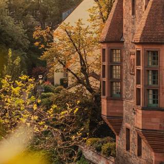 Village iPhone wallpaper