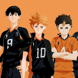 Karasuno phone wallpaper