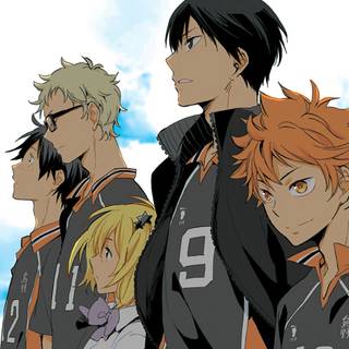 Karasuno phone wallpaper