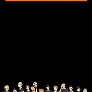 Karasuno phone wallpaper