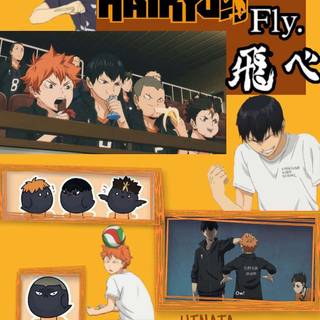 Karasuno phone wallpaper