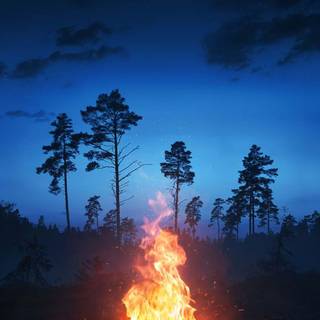 Campfire iPhone X wallpaper