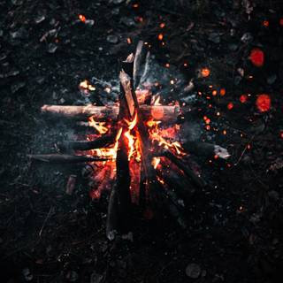 Campfire iPhone X wallpaper