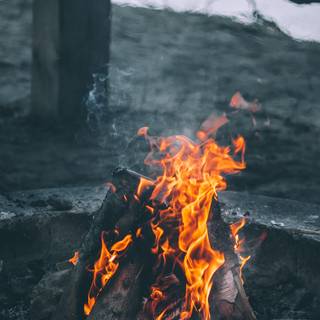 Campfire iPhone X wallpaper