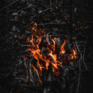 Campfire iPhone X wallpaper
