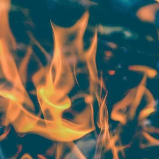 Campfire iPhone X wallpaper