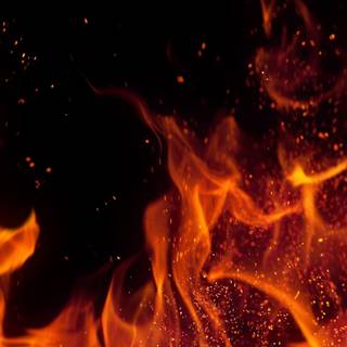 Campfire iPhone X wallpaper