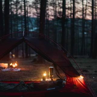 Campfire iPhone X wallpaper