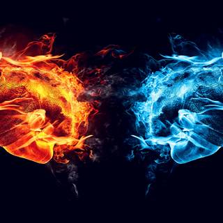 Campfire iPhone X wallpaper