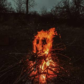 Campfire iPhone X wallpaper