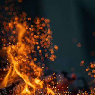 Campfire iPhone X wallpaper