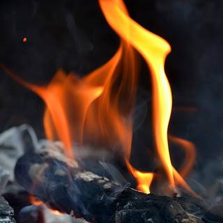 Campfire iPhone X wallpaper