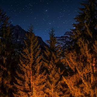 Campfire iPhone X wallpaper