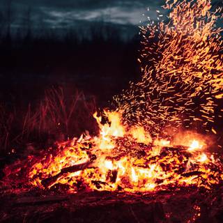 Campfire iPhone X wallpaper