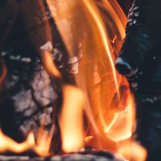 Campfire iPhone X wallpaper