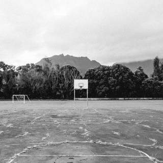 iPhone 11 basketball wallpaper