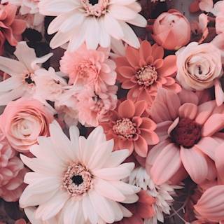 iPhone pink flower wallpaper